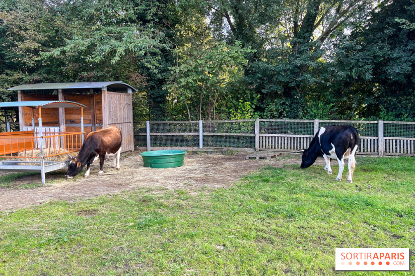 La ferme pédagogique du parc des Chanteraines