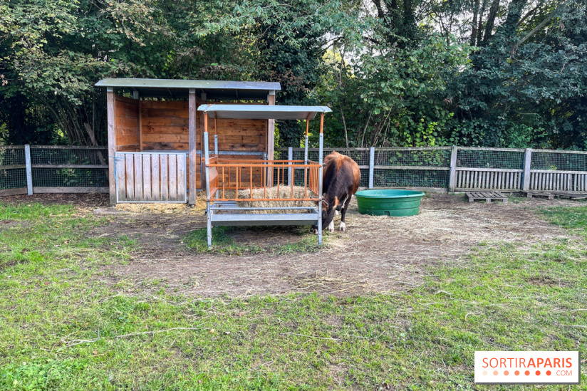 La ferme pédagogique du parc des Chanteraines