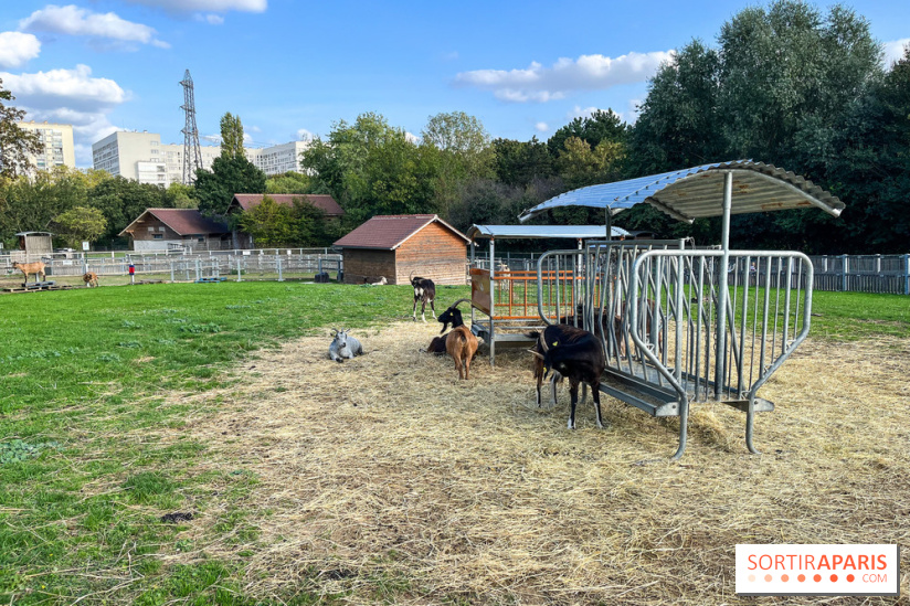 La ferme pédagogique du parc des Chanteraines - image00025