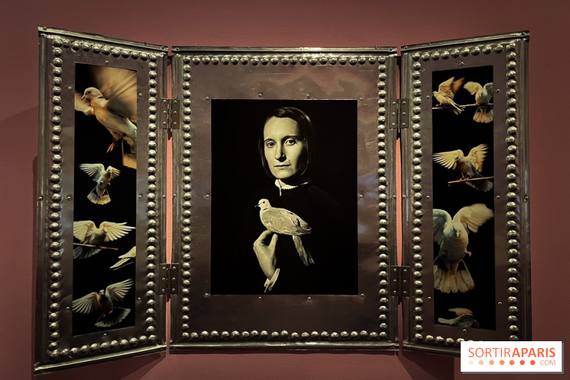 Exposition Viva Varda !