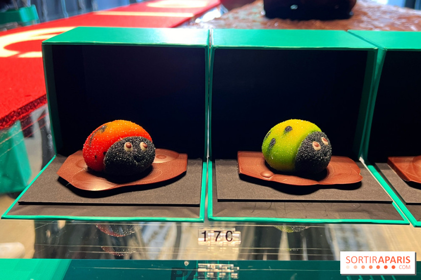 Créations 2023 Patrick Roger