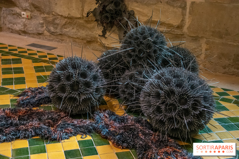 Exposition Entre Les Murs de Tanja Smeets et Karin van Dam Abbaye de Maubuisson