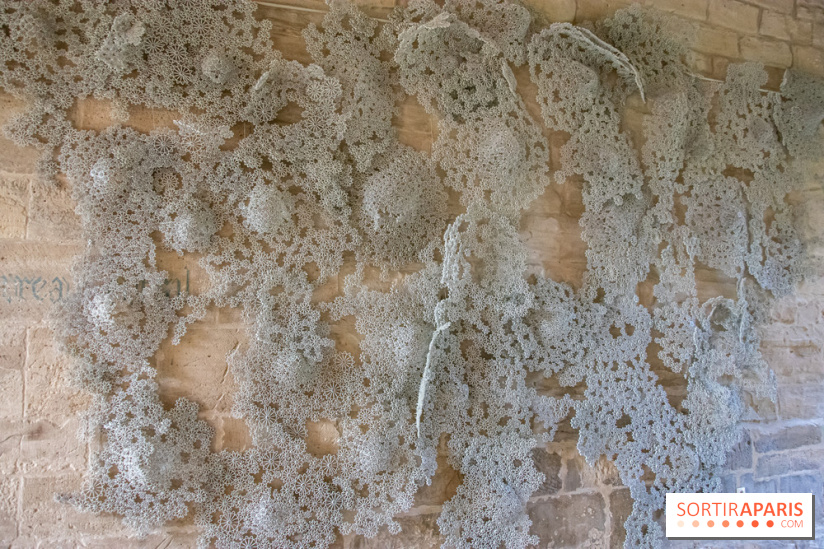 Exposition Entre Les Murs de Tanja Smeets et Karin van Dam Abbaye de Maubuisson