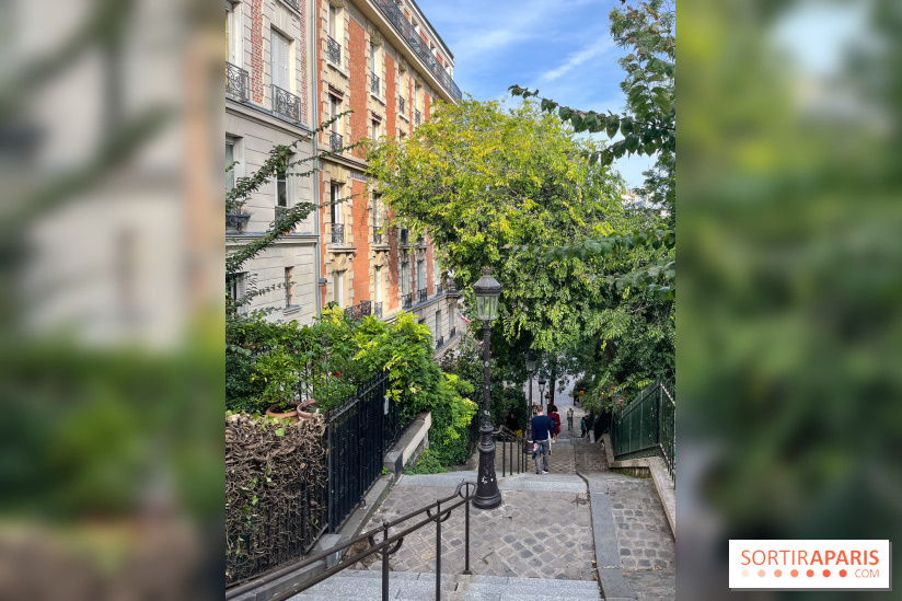 Vignes Montmartre