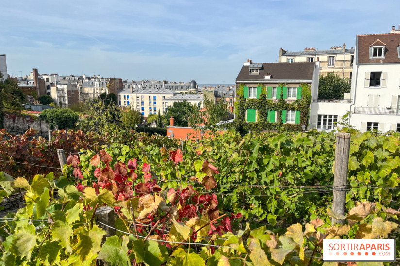 Vignes Montmartre