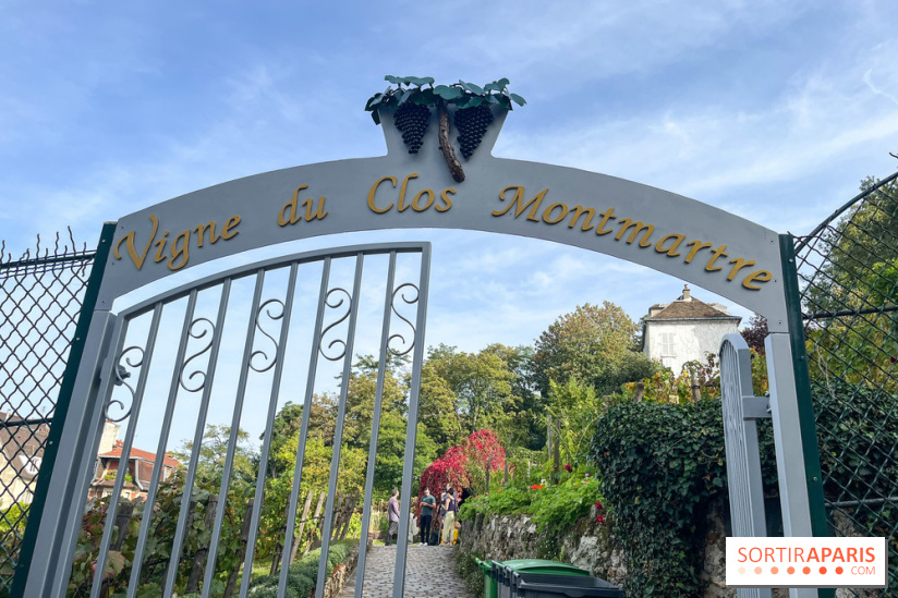 Vignes Montmartre