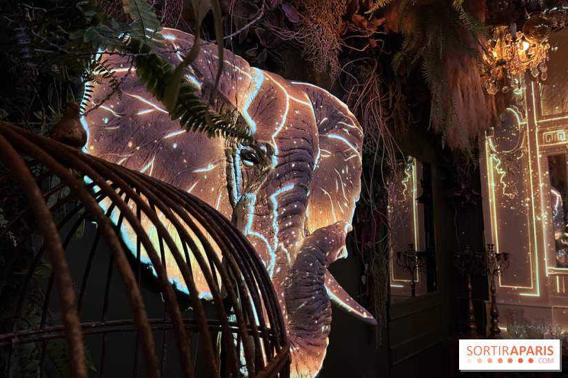 Jungle Palace, le nouveau restaurant immersif de Ephemera à Paris - IMG 5821