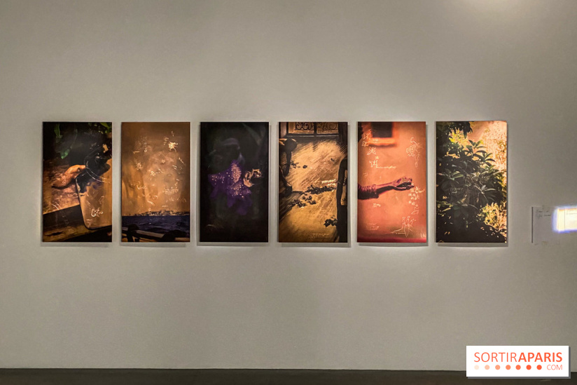 Exposition Hors de la nuit des normes Palais de Tokyo