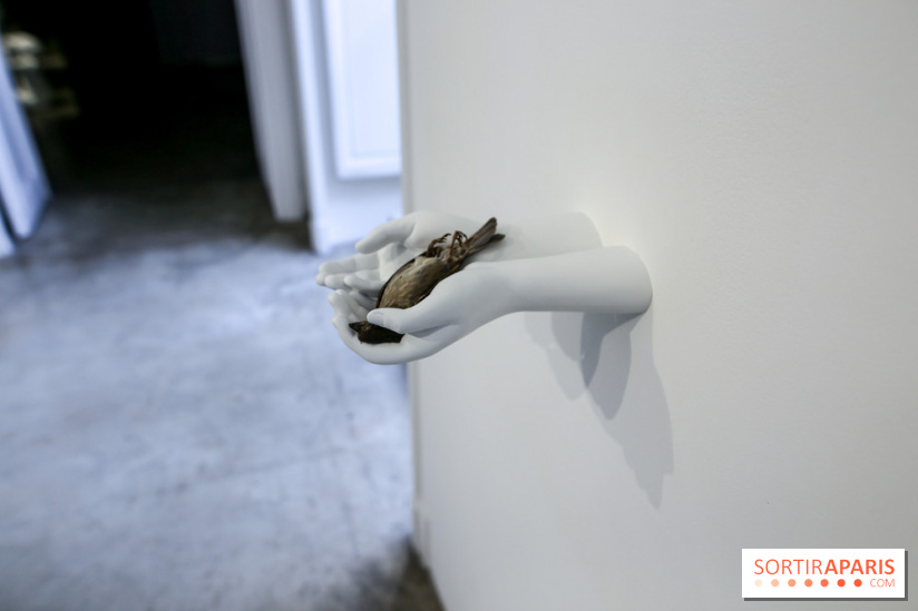 Expo Elmgreen & Dragset à la Galerie Perrotin, nos photos - IMG 1368