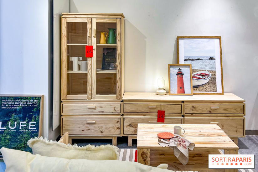 Exposition insolite et gratuite dédiée aux meubles moches  - image00028