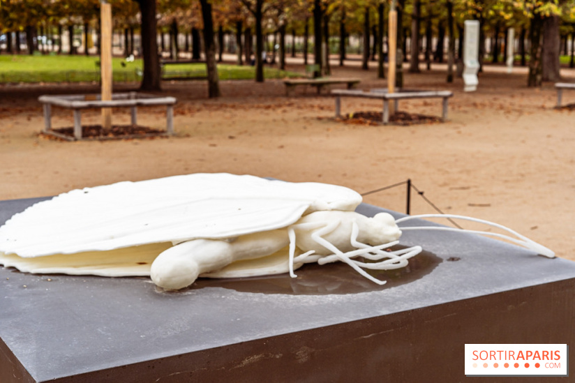 Paris+ par Art Basel 2023 aux Tuileries -  Nicène Kossentini - The Butterfly