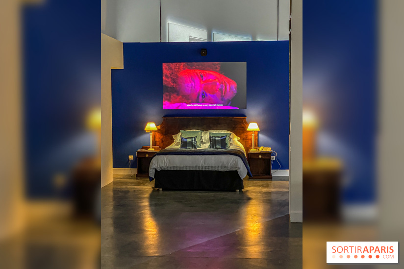 Exposition Lili Reynaud-Dewar Palais de Tokyo