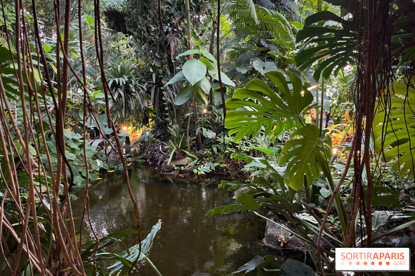 Automne Tropical 2023