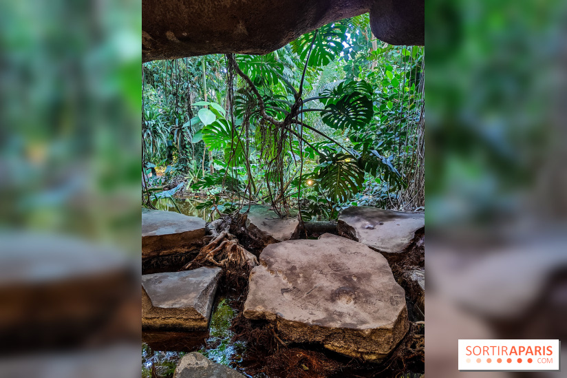 Automne Tropical 2023