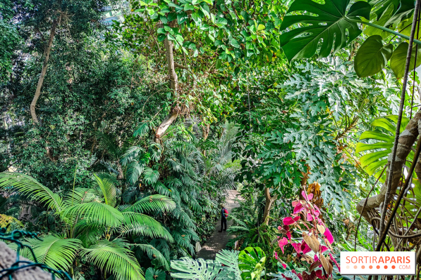 Automne Tropical 2023