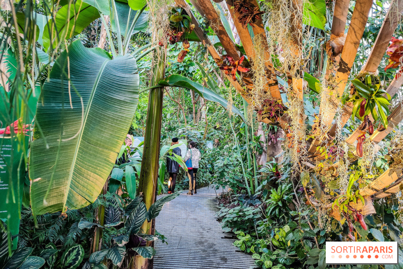 Automne Tropical 2023