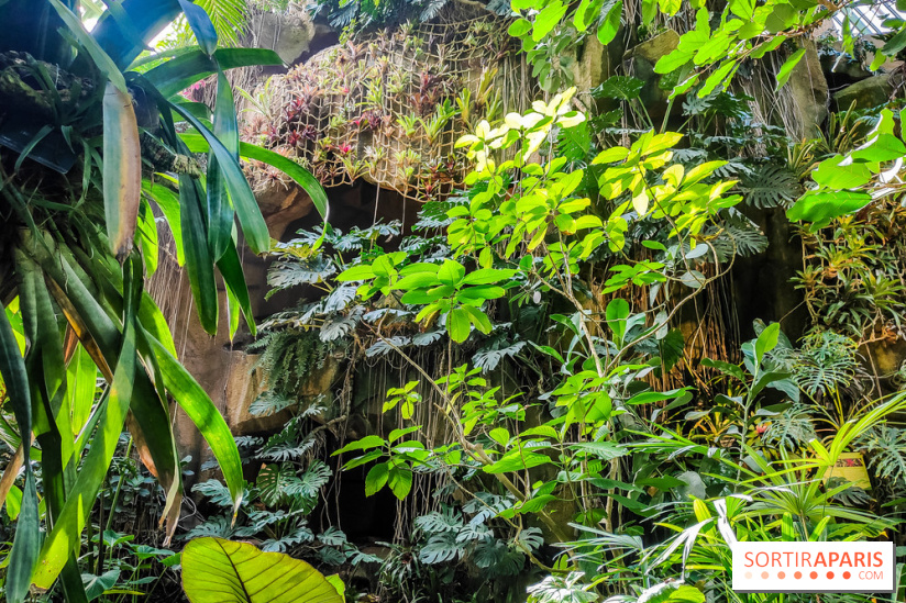 Automne Tropical 2023