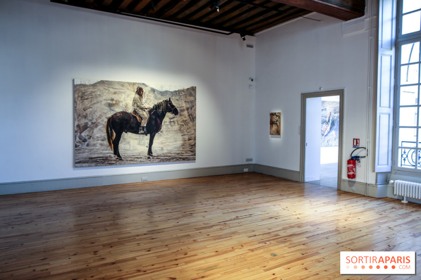 Sara-Vide Ericson : les photos de son expo à l'Institut suédois - IMG 1313