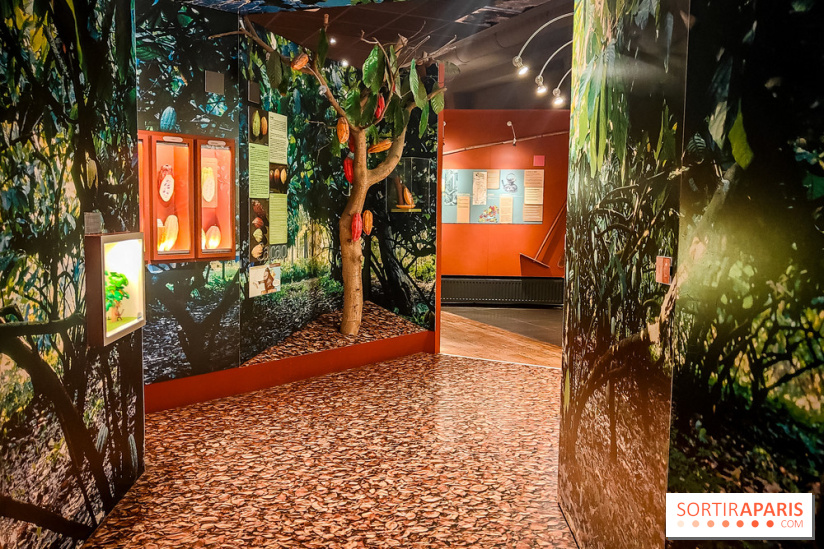 Choco Story, le musée du chocolat hyper gourmand à Paris