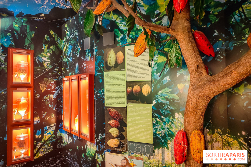 Choco Story, le musée du chocolat hyper gourmand à Paris
