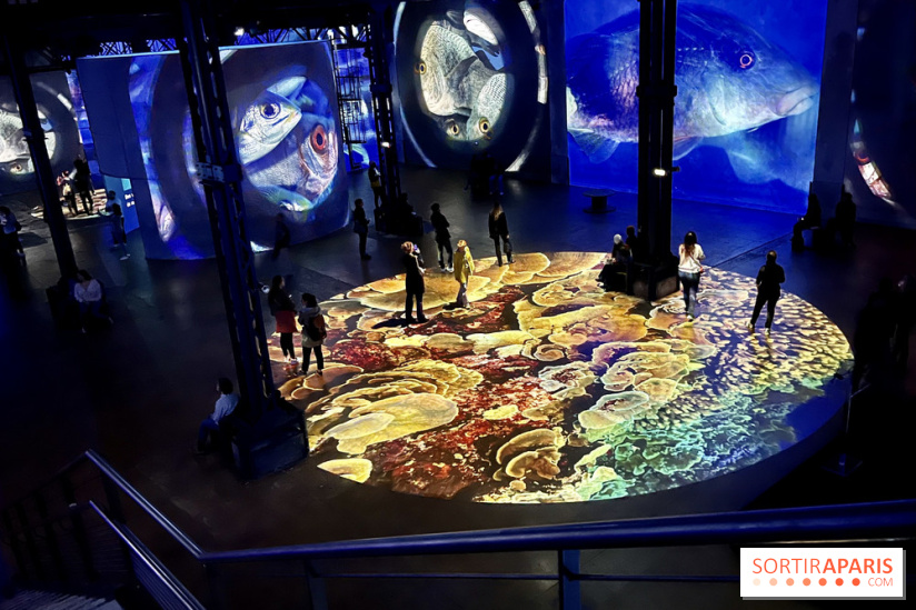 Océans, l'Odyssée Immersive à l'Atelier des Lumières - IMG 6110