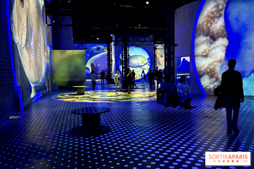 Océans, l'Odyssée Immersive à l'Atelier des Lumières - IMG 6117
