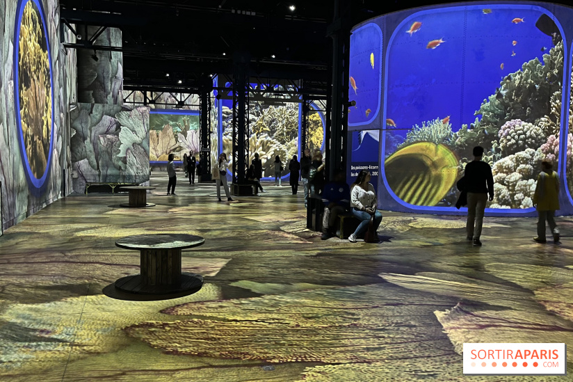 Océans, l'Odyssée Immersive à l'Atelier des Lumières - IMG 6118