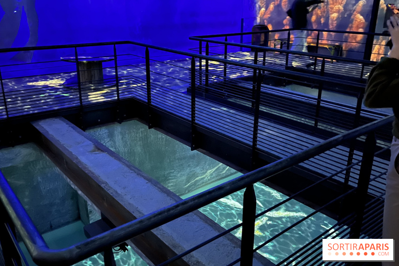 Océans, l'Odyssée Immersive à l'Atelier des Lumières - IMG 6134