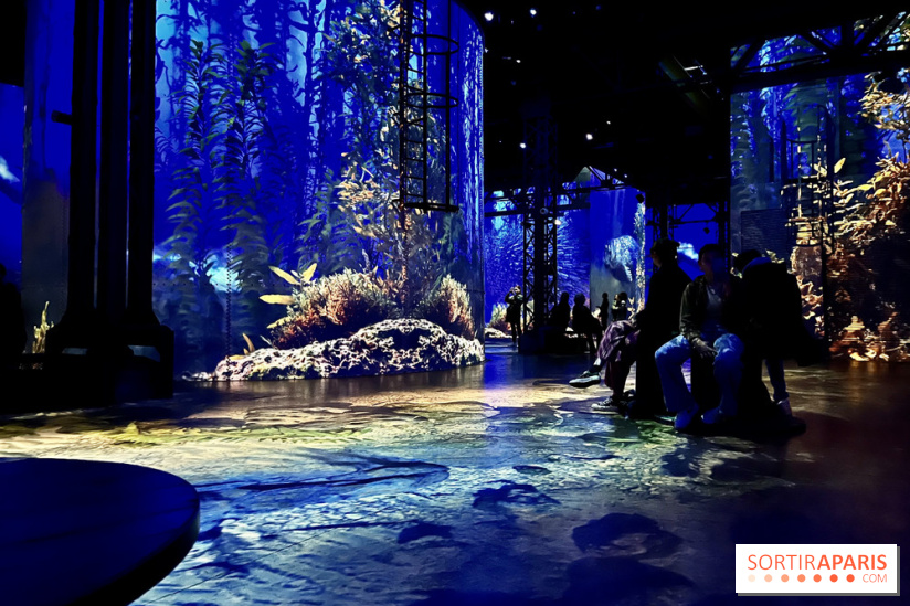 Océans, l'Odyssée Immersive à l'Atelier des Lumières - IMG 6173