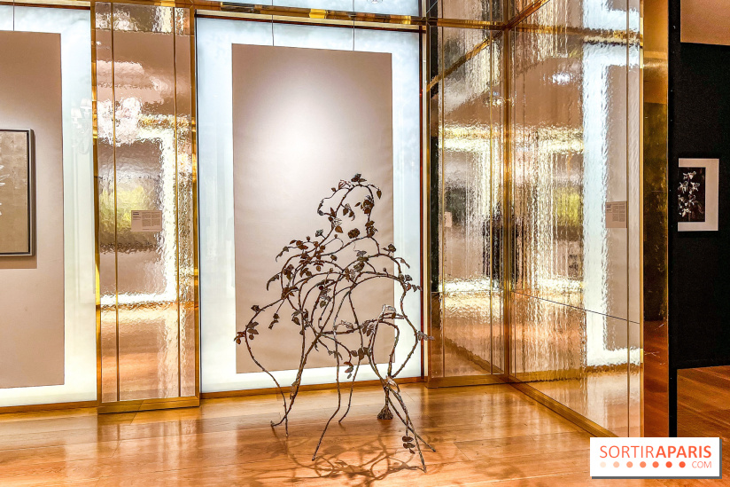 Les Fleurs du Mal, l'exposition gratuite sur les fleurs à la Maison Guerlain - Champs-Élysées