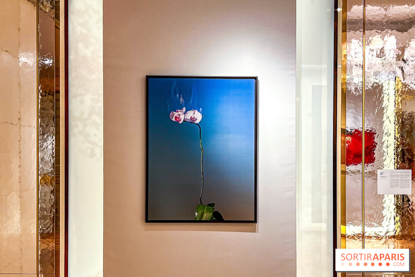 Les Fleurs du Mal, l'exposition gratuite sur les fleurs à la Maison Guerlain - Champs-Élysées