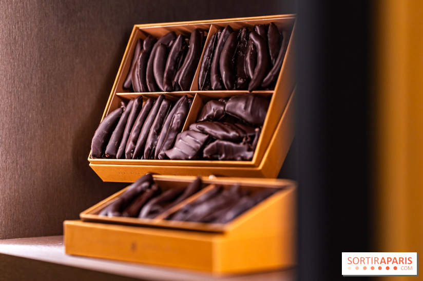 Louis Fouquet Montaigne - Chocolatier - confiseur