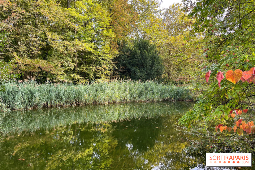 Le parc de l'Île Verte à Chatenay-Malabry - nos photos