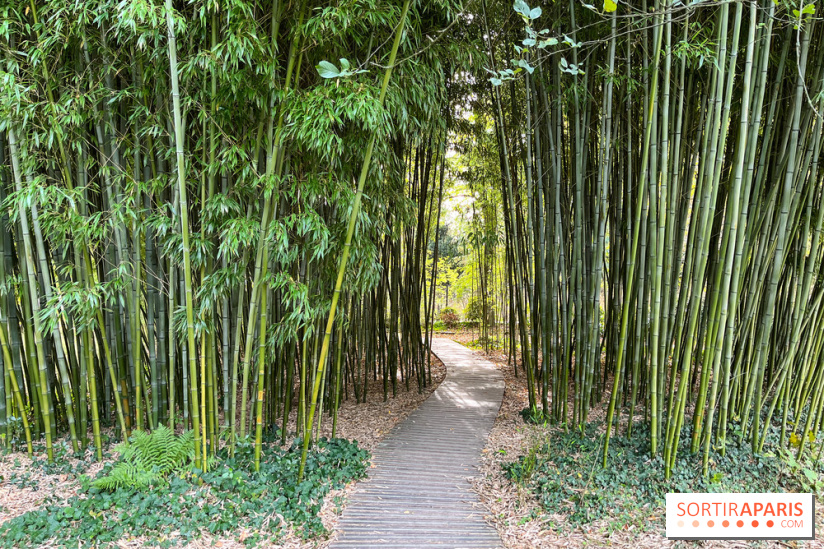 Le parc de l'Île Verte à Chatenay-Malabry - nos photos - image00542