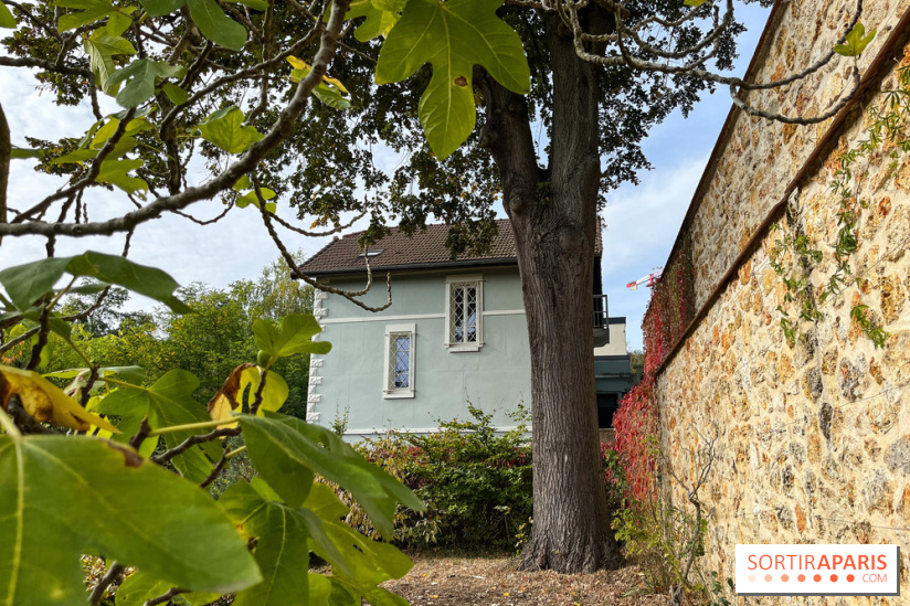 Le parc de l'Île Verte à Chatenay-Malabry - nos photos - image00532