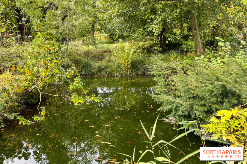 Le parc de l'Île Verte à Chatenay-Malabry - nos photos - image00517