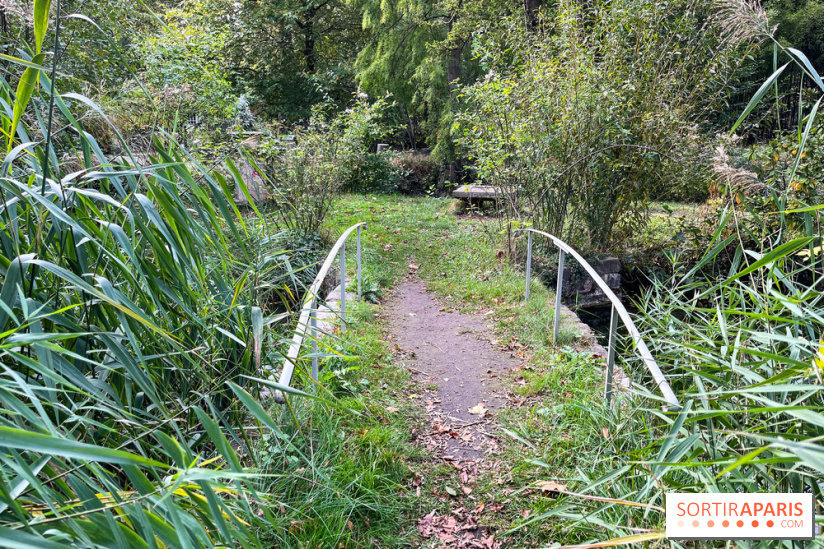 Le parc de l'Île Verte à Chatenay-Malabry - nos photos - image00519