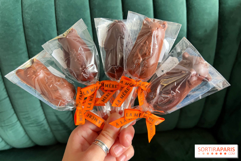 Chocolats de Noël A La Mère de Famille - E4F44208 EED8 41FF 81AD A9153B8AC935