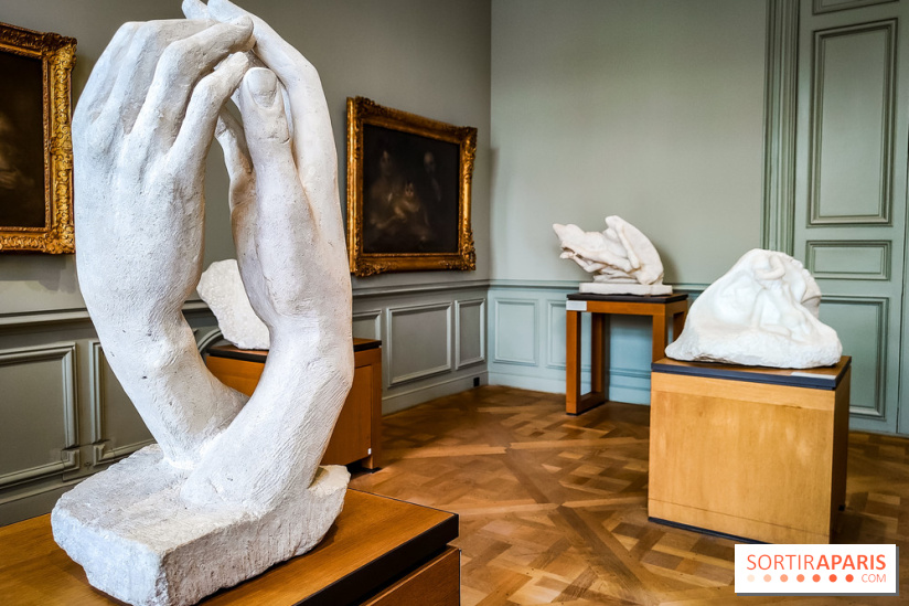 Le Musée Rodin, ses collections et son jardin - IMG20231016103429