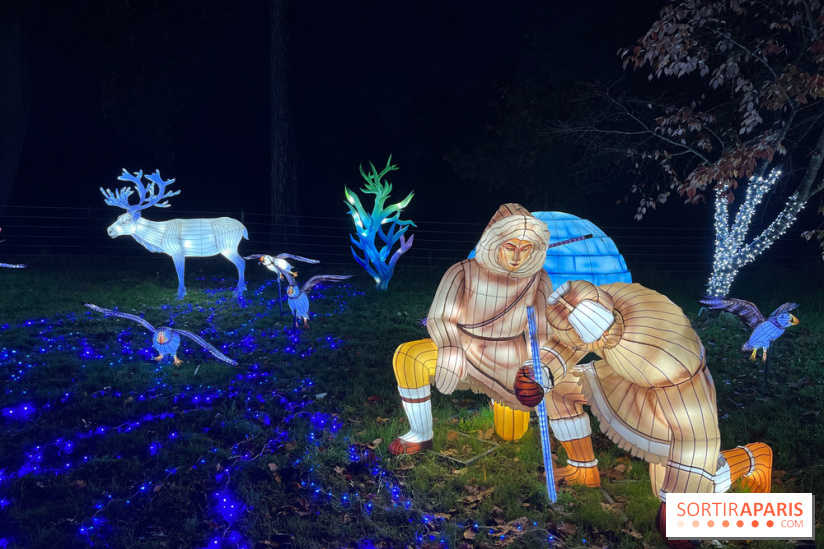 Thoiry Lumières Sauvages 2023 - 2024 - IMG 6316