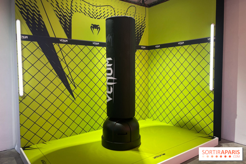 Iconic Selfie Studio : musée éphémère pour prendre ses selfies - IMG 3323