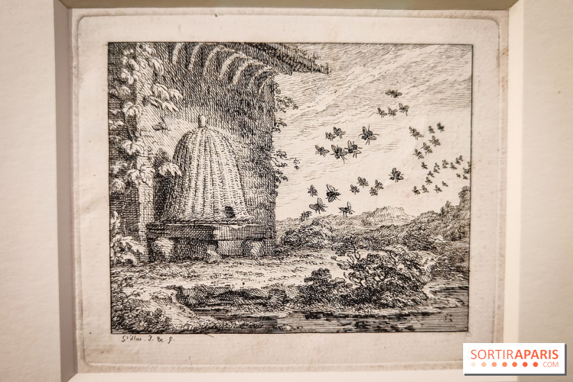 Claude Gillot : le dessinateur du Grand siècle au cœur d'une exposition au musée du Louvre - IMG20231107105854