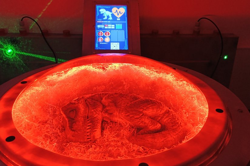 Campagne #31450 - IMG 20250212 152519