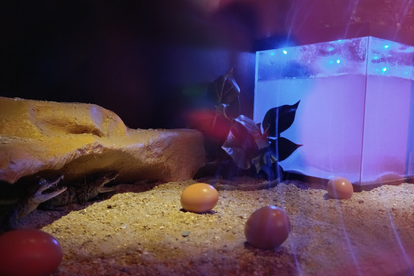 Campagne #31450 - IMG 20250212 152551