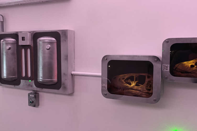 Campagne #31450 - IMG 20250212 152849