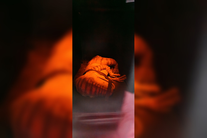 Campagne #31450 - IMG 20250212 152911