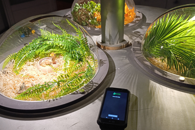 Campagne #31450 - IMG 20250212 153206