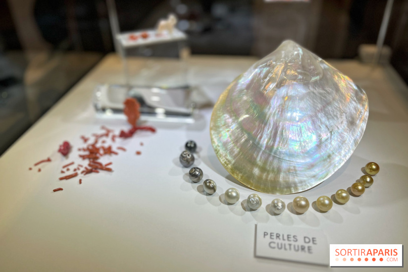 Secrets de Bijoux