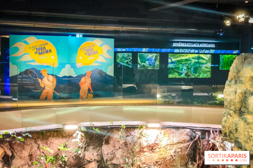 Enquête à Madagascar : nos photos de l'exposition immersive ultra ludique de l'Aquarium tropical - IMG20231113105545