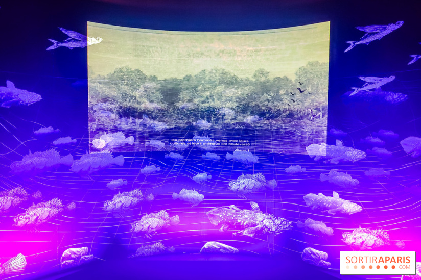 Enquête à Madagascar : nos photos de l'exposition immersive ultra ludique de l'Aquarium tropical - IMG20231113102139